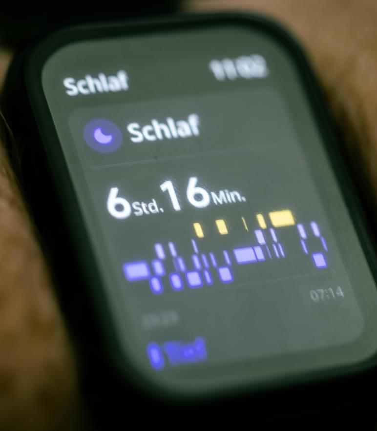 Pexels jaralol 27609746