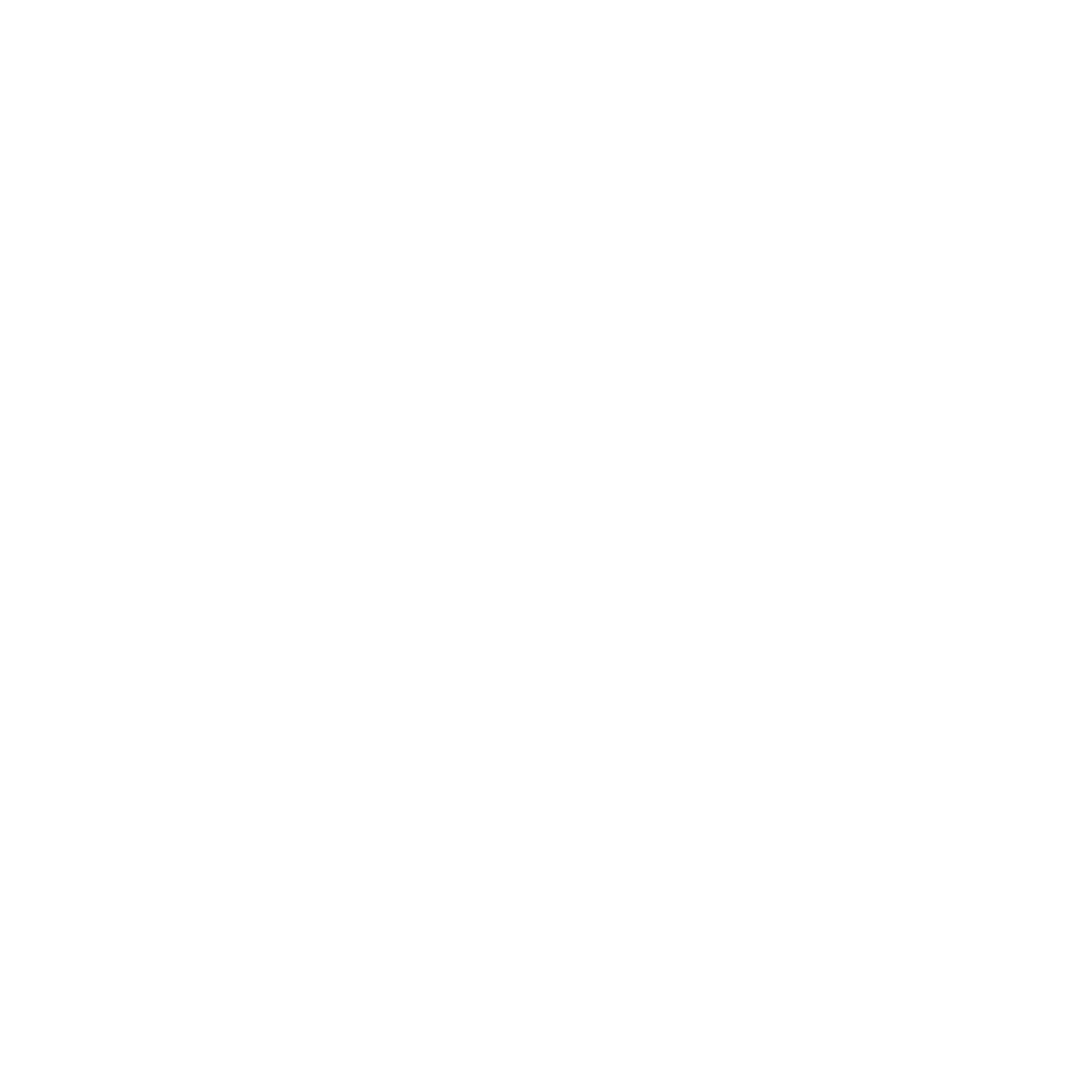 MMR Logo Full White