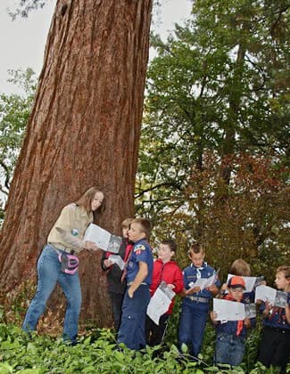 Cub Scouts learning about Oregon's oldest Sequoia - The Britt Sequoia - an Oregon Heritage Tree - planted 1862. Photo by Larry B. Smith.