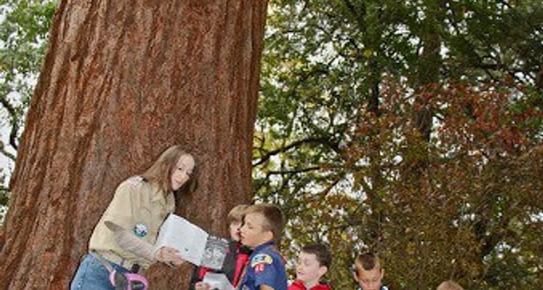 Larry Smith, himself a twin, posing with sixth grade twins in front of Jacksonville's oldest and largest Madrone Tree. Photo by Larry B. Smith.