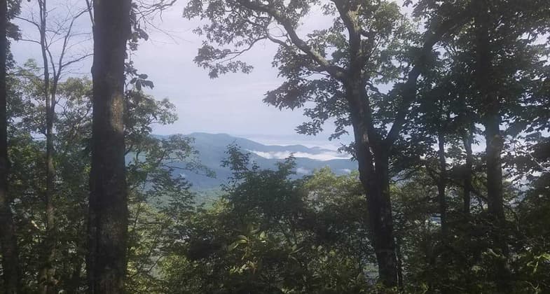 July 2017 hike to the highest point in Georgia (USA), Brasstown Bald Mountain. Photo by Kelly Carter.