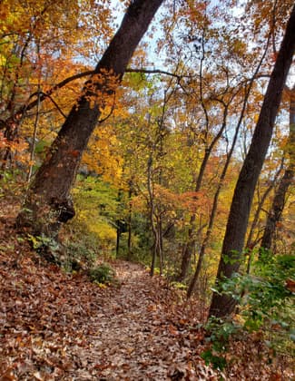 Autumn afternoon on the Bluff Trail. Photo by Sofia Rudakevych.