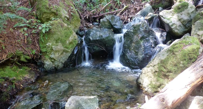 Water cascading into a small pool on the trail. Photo by North Bay Christian Hikers.