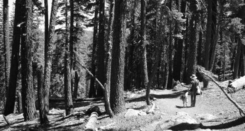 Pony Express Trail pony-express-trail