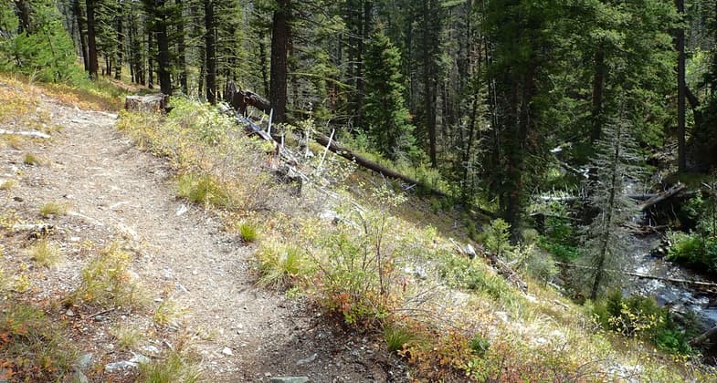 Bear Valley Creek can be seen here below the trail. Photo by David Lingle.