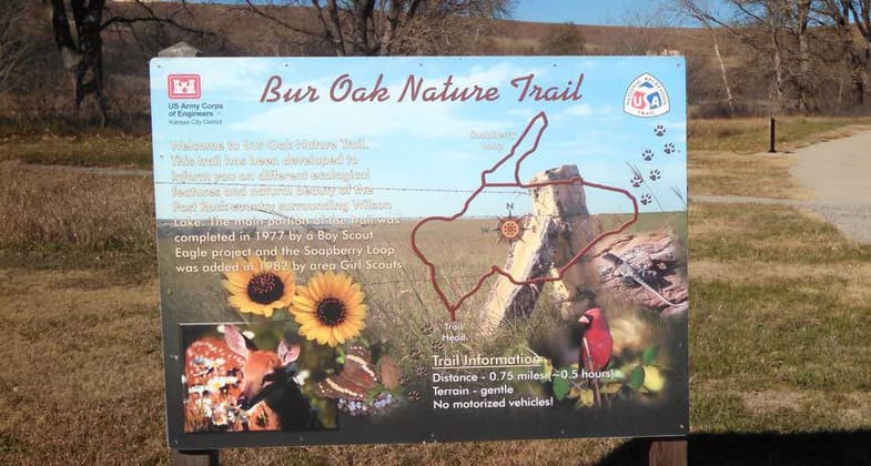 Nature trail sign.