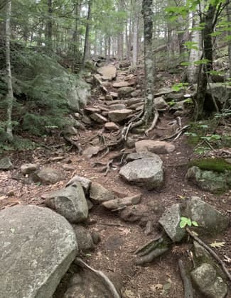 The trail. Photo by Janie Walker.