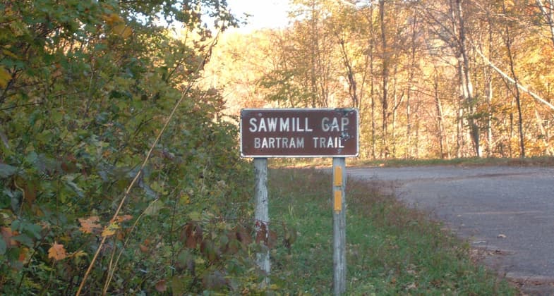 Bartram Trail at Sawmill Gap. Photo by Cliff Hardin.
