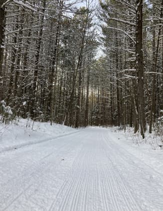 A freshly groomer section of the trail. Photo by Valerie Knurr.