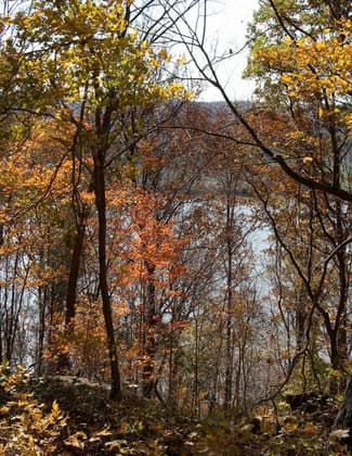 View of the Ohio River through trees on the Adventure Hiking Trail. Photo by Pete Banta.