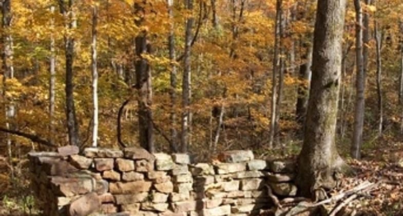 The Adventure Hiking Trail offers a bit of pioneer history, passing the remains of old homesteads. Photo by Pete Banta.