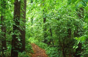 Dobbs Park Trail System