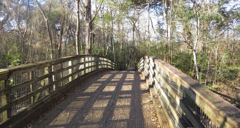 Entrance to Palmetto Loop Trail. Photo by Stephanie Mabou.