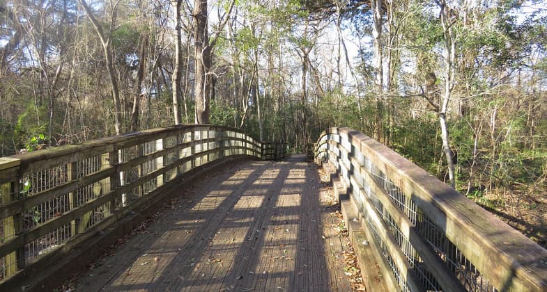 Boardwalk Bridge. Photo by Stephanie Mabou.