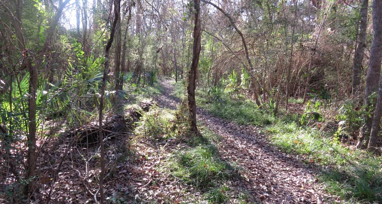 Entrance to Palmetto Loop Trail. Photo by Stephanie Mabou.