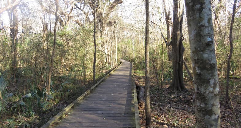 Bob Cat Path. Photo by Stephanie Mabou.