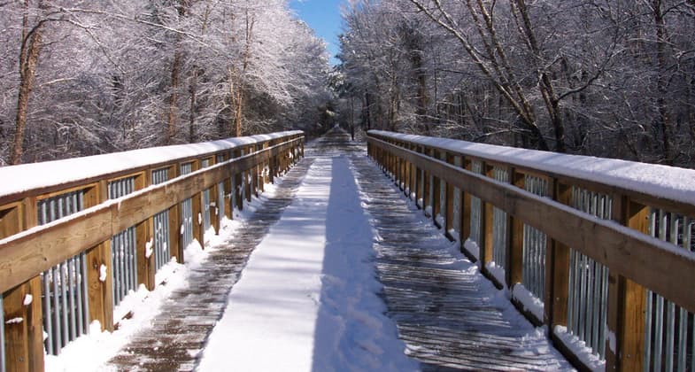 Snowy day on the American Tobacco Trail. Photo by Tony D'Amico.