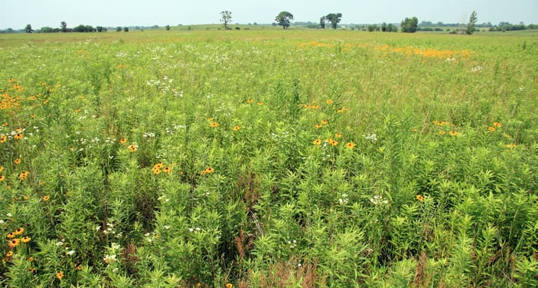 Springbrook Prairie Trail