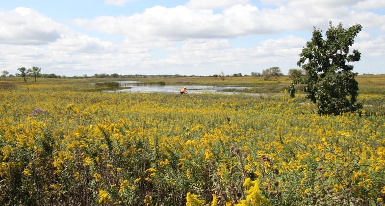 Springbrook Prairie Trail