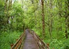 Boardwalk section of rail-trail. Courtesy of Trailkeepers of Oregon. Photo by John Sparks.