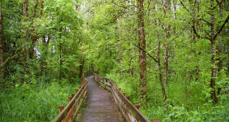 Boardwalk section of rail-trail. Courtesy of Trailkeepers of Oregon. Photo by John Sparks.