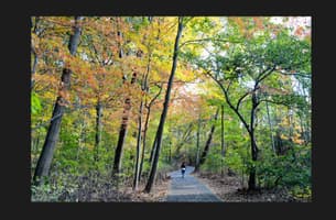Cunningham Park Southeast Preserve Trail