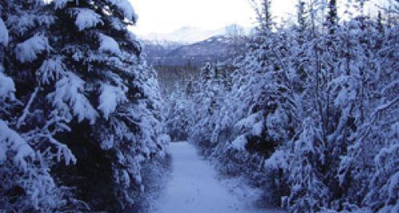 A gentle overlook on the Trail offers outstanding views of the Chugach Mountains.