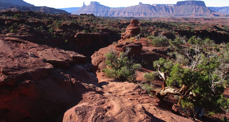 View from the Fisher Towers trail. Photo by Valerie A. Russo.