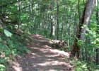 The hiking section of the 6-To-Ten Trail climbs through the wooded Allegheny Front.