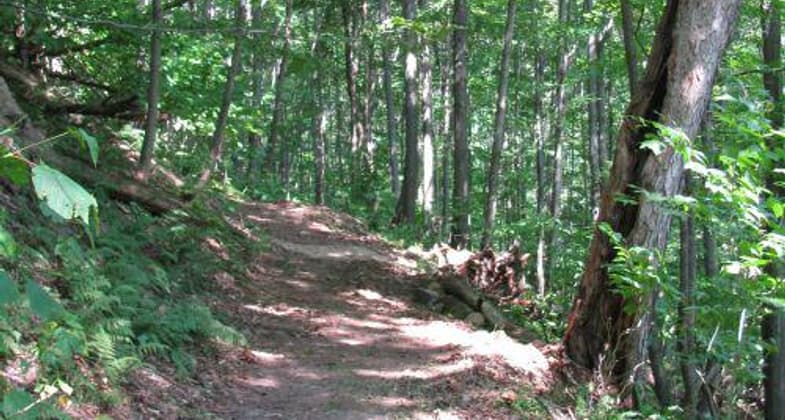 The hiking section of the 6-To-Ten Trail climbs through the wooded Allegheny Front.