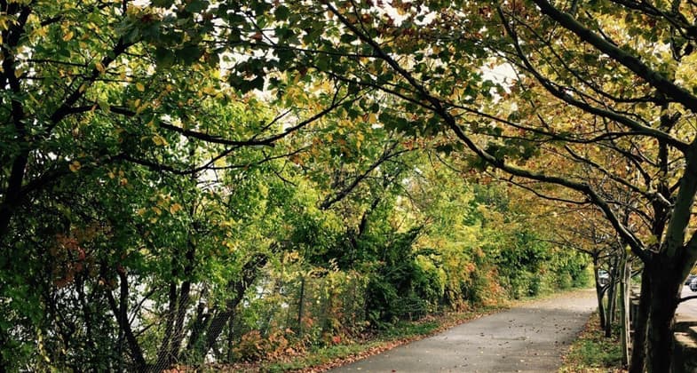 Three Rivers Heritage Trail in Fall. Photo by Friends of the Riverfront.