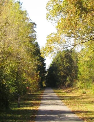 Chief Ladiga Trail in Piedmont, Alabama. Photo by John H. Morgan, III.