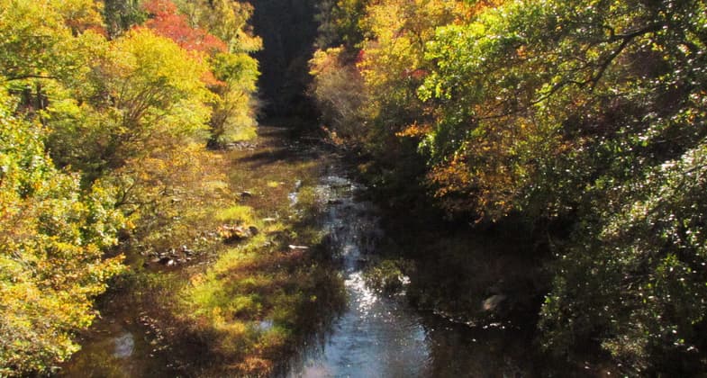 The river below with all of the fall colors in full glory. Photo by John H. Morgan, III.