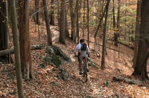 Warriors' Path State Park Mountain Bike Trail Syst