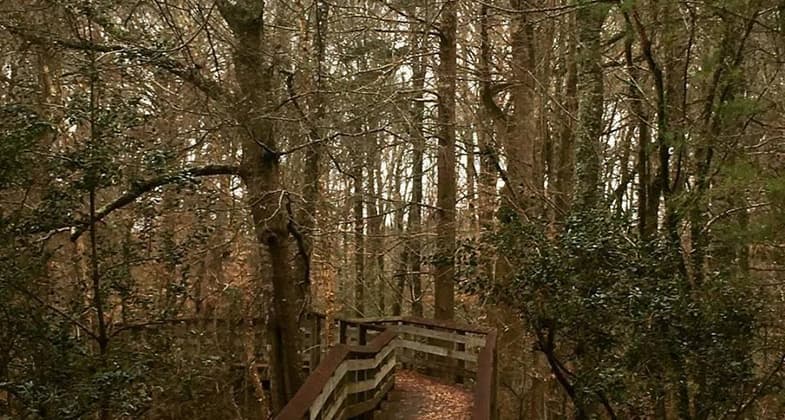 The nature trail is a nice walk through the woods. Photo by Mississippi Sought.