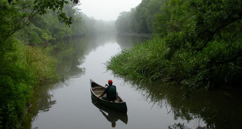 Exploring the Delta