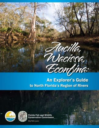 Aucilla River Trail