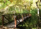 One of the four bridges in Bailey's Woods. Photo by Alyssa W. Yuen