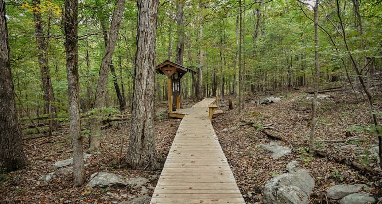 A boardwalk allows for wet-weathre access to the Fanning Trail. Photo by Lauren Sanderson.
