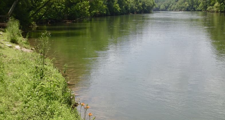 Beautiful day on the Chattahoochee River. Photo by Keegan Donegan.