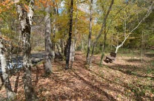 Turkey Creek Nature Preserve Trail System