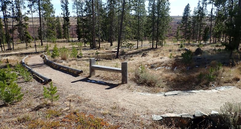 The Siege Trail loops around depressions in the ground used by U.S. soldiers for cover. Photo by David Lingle.