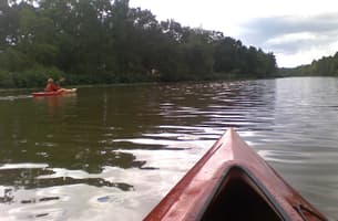 Bayou Teche Paddle Trail