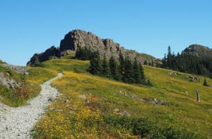 Chinook Trail