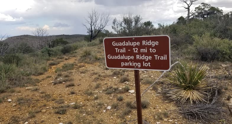 There is little signage in the Carlsbad Caverns backcountry so map reading and route finding skills are a must. Photo by Todd Shelley.