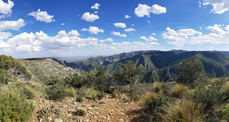 Sweeping views into North McKittrick Canyon from within Lincoln National Forest. Photo by Todd Shelley.