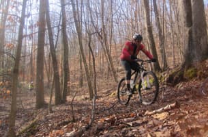 Bays Mountain Park Trail System
