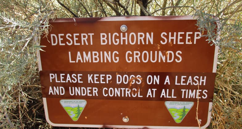 Sign at the trailhead for the Corona Arch Trail. Photo by Valerie A. Russo.