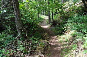 Acker Divide Trail