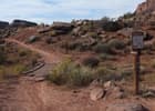 Deadman Ridge trail (Moab Brands trail system). Photo by Bill Stevens